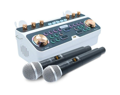 Portable DJ Sound Mixer Karaoke Speaker Wireless Microphones Q-SK6 