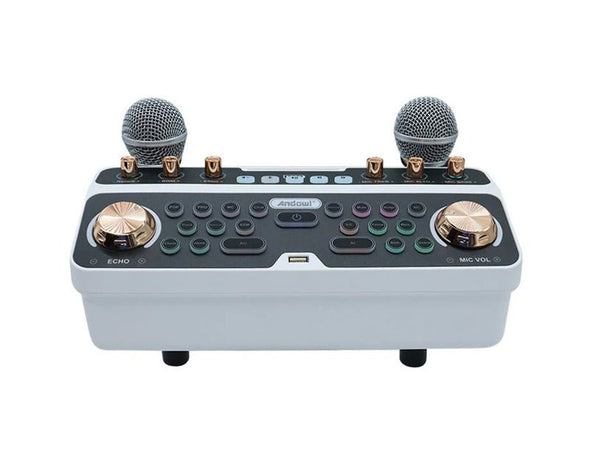 Portable Bluetooth Mixer with Wireless Microphones Q-SK6 